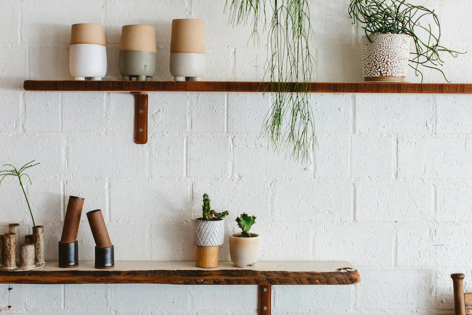 Greenery softens a room the way a rug grounds it.